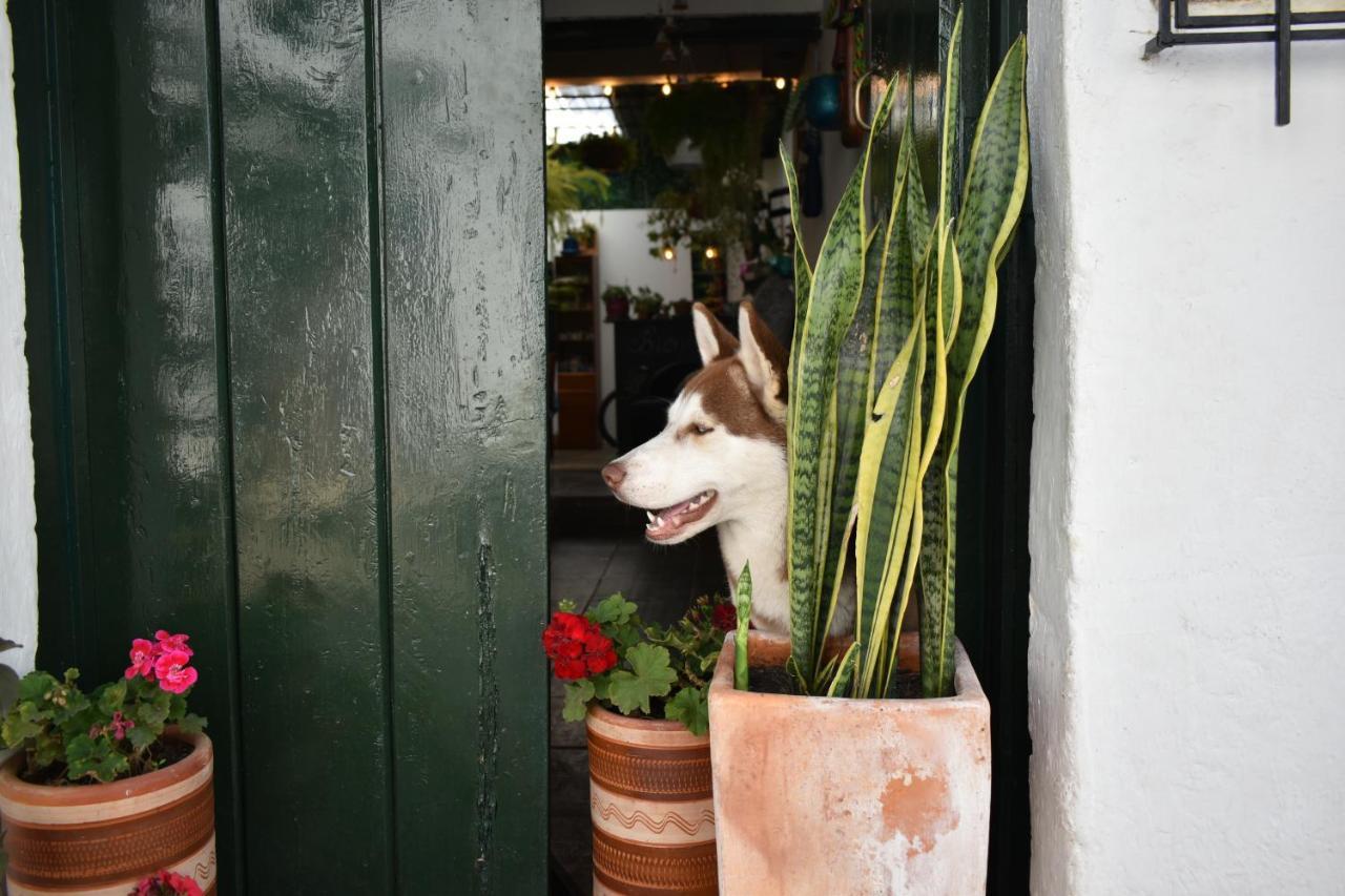 Hospedaje La Casa De Chavela Centro Historico Villa de Leyva Zewnętrze zdjęcie